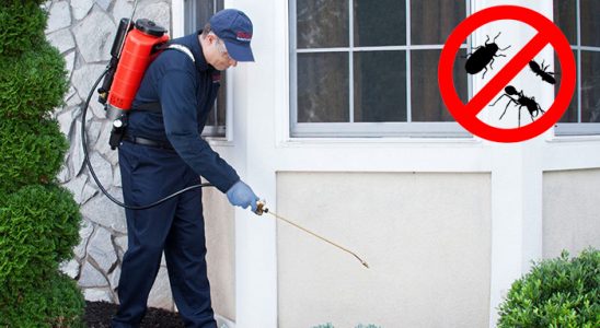 Kuluncak Böcek İlaçlama böcek ilaçlama ve haşere kontrolü — ilaclama-tr.com